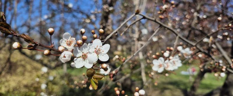 Калуга-поиск