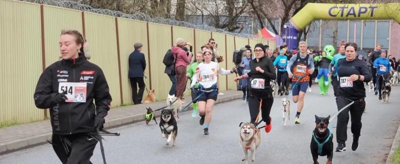 Владислава Шапши 