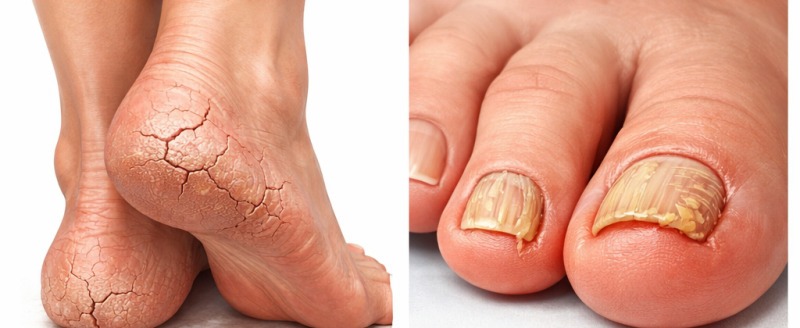 Фото редакции Kaluga-poisk.ru