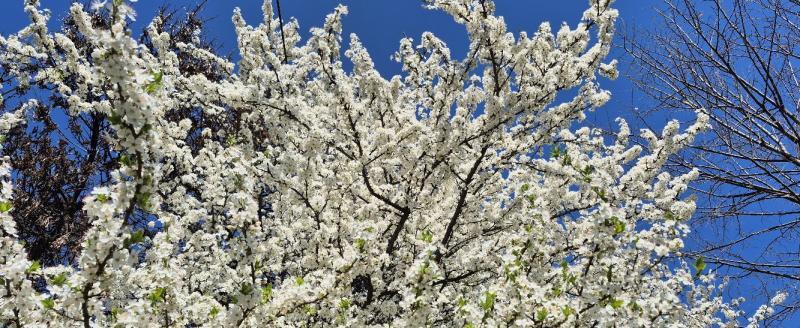 Калуга-поиск