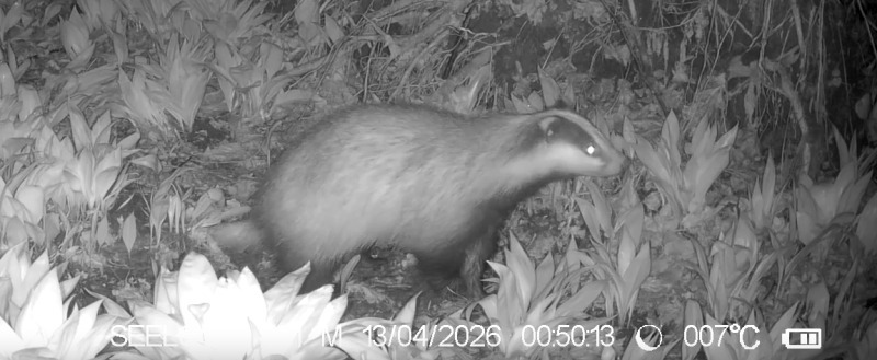 фотоловушки заповедника 