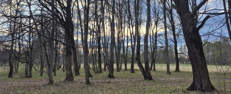 Калуга-поиск