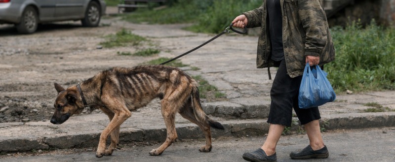 Kaluga-poisk.ru, сгенерировано ИИ