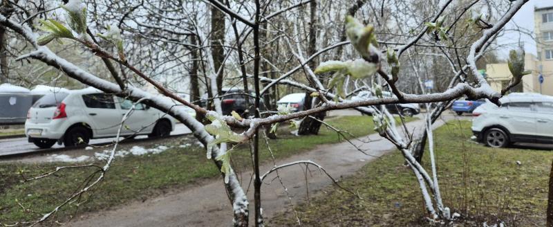 Калуга-поиск