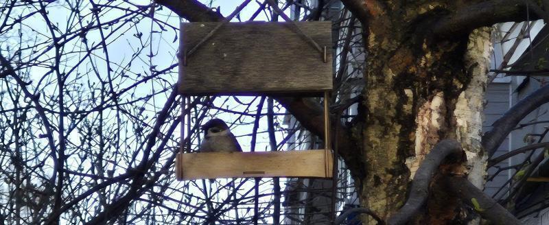 Калуга-поиск