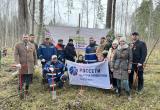 Филиал &laquo;Калугаэнерго&raquo; принял участие в Международной акции &laquo;Сад памяти&raquo;