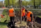 Дмитрия Денисова