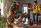 Муж поселил петуха с курицами у нас в дома, так как не успел придумать им место для зимовки