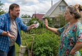 Сосед предложил хозяйничать на его огороде за три тысячи рублей и был очень недоволен отказом