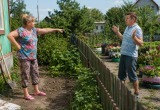 Сосед украл мои самодельные кашпо для цветов и отпирался до победного
