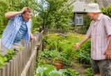 Муж дважды обманул меня, чтобы доказать, что он лучший огородник