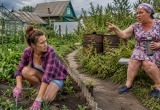 У свекрови на даче буйным цветом цветут сорняки, а она все равно меня учит работать на огороде