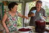 Собрала вишню на компоты, а муж взял и сделал из нее наливку