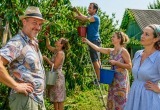 Жена ругалась, что засадил участок черешней, которую мне лень собирать, поэтому я придумал экосбор