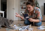 Из всех вещей в доме новая кошка предпочла испортить мой паспорт и наличные деньги