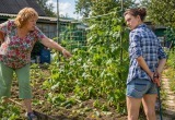 Чтобы не работать на даче, бессовестная дочь устроила диверсию с огурцами