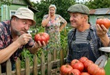 Муж так отчаянно соревнуется с соседом за урожай помидоров, что сходит с ума