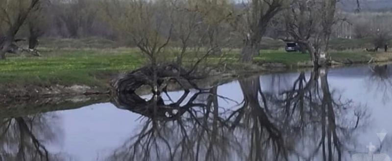 Следственный комитет Российской Федерации