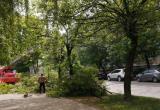 Kaluga-poisk.ru