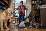 Не знаю, что делать с питомцами, которые готовы уничтожить все запасы еды в доме
