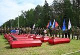 Владислав Шапша 