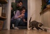 В доме никогда не было мышей, пока у нас не появилась кошка