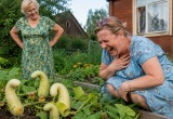 Увидела, что выросло из &laquo;экзотических&raquo; семян свекрови, и чуть не прыснула от смеха