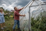 Муж думал, что его пленка на теплицах выдержит даже падение астероида, а она едва пережила ураган