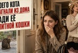 Мама выкинула моего кота, чтоб он её "элитную" кошку не попортил 