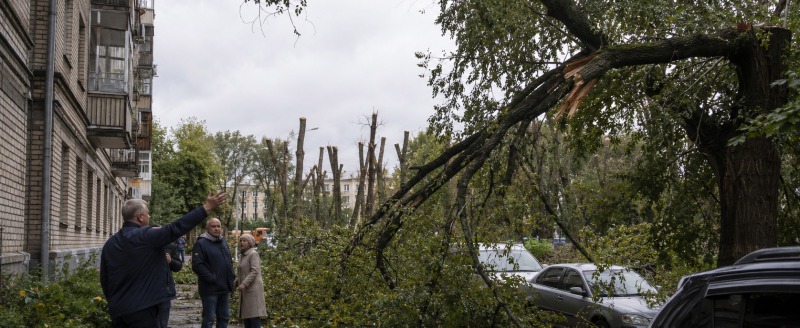 Сгенерировано ИИ