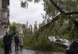 Сгенерировано ИИ