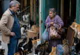 Выселил бабку-соседку и 30 ее кошек. Мне стыдно, но при случае я бы повторил
