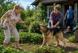 Научили пса охранять грядки с клубникой, так он туда теперь даже свекровь не пускает. Ей пришлось ждать нас