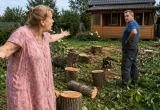 Целых два года спасалась на даче от палящего солнца, а муж взял и вырубил почти все деревья ради бани