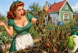 Попросила мужа обработать урожай от паразитов, а он мне все овощи погубил
