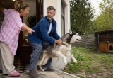 После переезда в частный дом муж завел хаски, хоть я была против. Теперь хочу, чтобы пес жил на улице