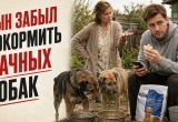  Поручила сыну покормить дачных собак, но своей еды псы так и не увидели