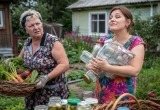 - Как это не помогаем? Мы для вас банки собираем! - нагло заявила невестка на моей даче