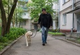 Собаки - это не муси-пуси, а большая ответственность
