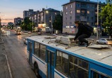 Калуга-поиск, сгенерировано ИИ