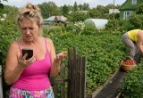 Подруга хвалилась урожаем клубники на даче и звала в гости. А как настал ягодный сезон, перестала трубку брать