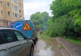 Вячеслав Парфёнов