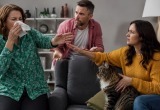 Родственница мужа требовала избавиться от нашего кота, потому что у нее аллергия на шерсть животных
