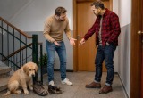 Щенок погрыз ботинки соседа, которые тот оставил на лестничной клетке