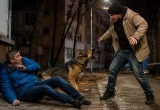 Бездомная собака спасла меня от вымогателя-дурака, а потом стала моим лучшим другом