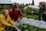 - Зачем укрывать огурцы от дождя? Пусть сами себя поливают! - выдала невестка на полном серьёзе