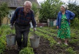 Дача съедает здоровье свёкра, но он упорно продолжает туда ездить