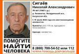 поисковый отряд "ЛизаАлерт"
