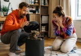 Кот упал в корзину для бумаг с крышкой, и мы час не могли его найти. Только слышали сердитое мяуканье