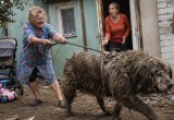 Мама должна была следить за маленьким внуком, а вместо этого приволокла с помойки огромное грязное чудовище